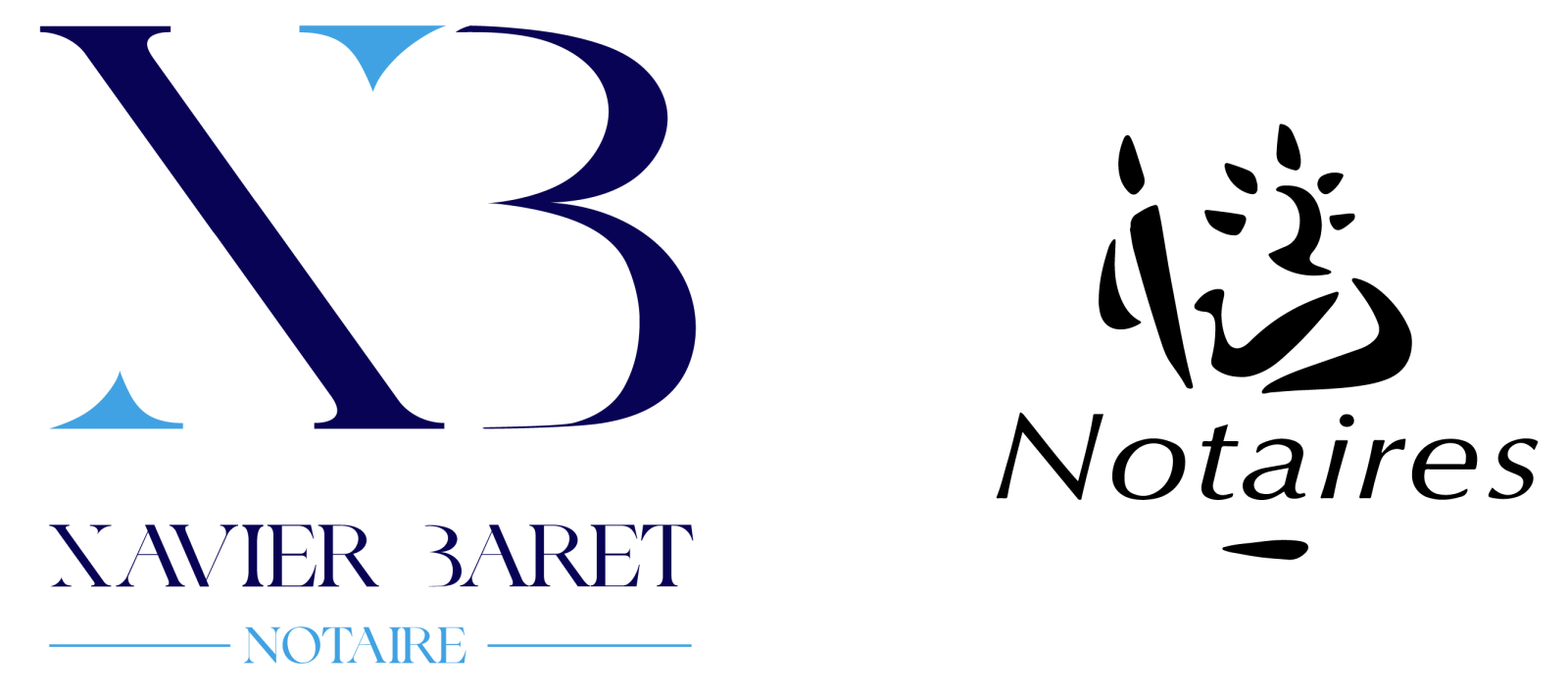 Logo minisite