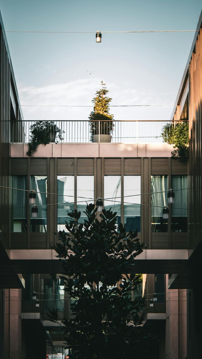 immobilier